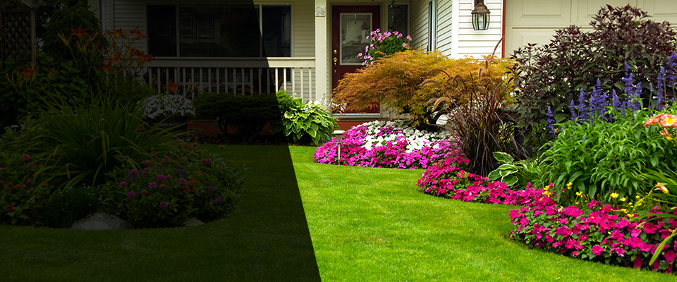 Ware Shoals Landscapers