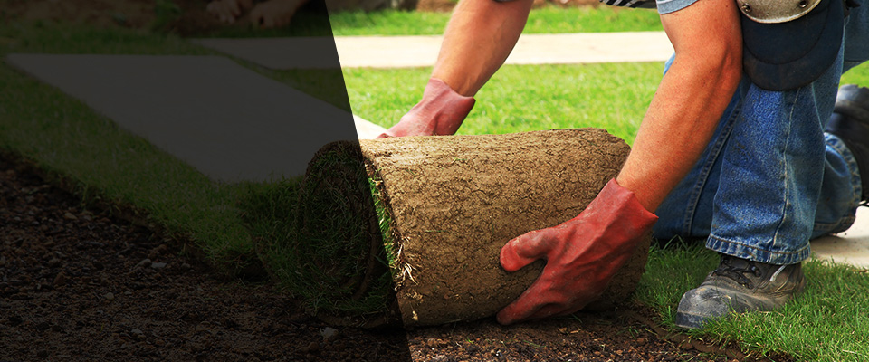 Ware Shoals Landscapers